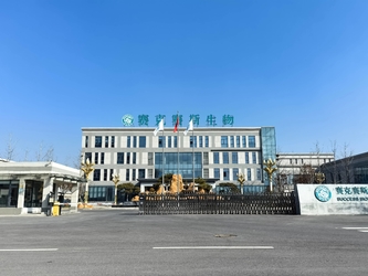 Shandong Saikesaisi Hydrogen Energy Co., Ltd linea di produzione del fabbricante
