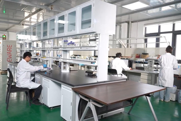 Shandong Saikesaisi Hydrogen Energy Co., Ltd linea di produzione del fabbricante